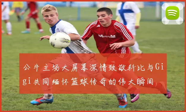 公牛主场大屏幕深情致敬科比与Gigi共同缅怀篮球传奇的伟大瞬间